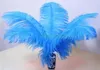 Wedding party Supply Ostrich Feather 100pcs/lot Plume wedding centerpieces table decoration Many Sizes for You To Choose