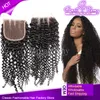 SALE Top Lace Closure Curly Hair Free Middle 3 Part 4x4 Hairpieces Virgin Hair Closure Extensions Deal Natural Black Dyeable Indian Human Hair Greatremy