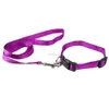 Gros-Nyon Puppy Pet Dog Walking Leash Lead Noir Violet Bleu Rouge pour petits chiens de taille moyenne