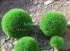 30 cm kunstmatige plastic groen gras bal opknoping gras bal thuis party decor 1pcs / lot