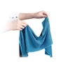 Sports Gym Climbing Riding 2 Layer Cool Towel Cold Towel Cooling Towel Breathable PVA Hypothermia Enduracool Snap Towel 35x90cm