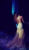 2015 Meryam Tast Celebrity Dress Champagne Mermaid Prom Dresses Long Sheeves Rhinestone Crystals kijken door avondjurken7528154