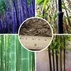 purple Timor Bamboo Seeds easy to grow in the garden black bamboo seeds 100 PCS - package