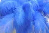Partihandel 100 st 12-14INCH Royal Blue Ostrich Feather for Wedding Centerpiece Wedding Table Party Event Decor