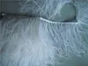 10 Yardslot White Ostrich Feather Trimning Fringe på satinhuvudet 67 tum i bredd2798790