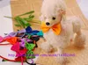 Gratis frakt! 200PCs hund hals slips hund slips katt slips husdjur grooming levererar husdjur huvudbonad blomma