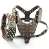 SET di collari per cani in pelle con borchie e borchie di grandi dimensioni marroni per Pit Bull Mastiff289S