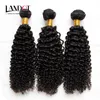 Cheveux bouclés cambodgiens non transformés cambodgiens crépus bouclés tissage de cheveux humains 3 faisceaux lot 8A grade cambodgien Jerry Curls extensions de cheveux teintables