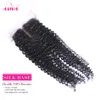 Silk Base Closure Peruvian Indian Malaysian Brazilian Top Lace Hair Closure Unprocessed Remy kinky curly Virgin Hair Extensions1605091