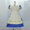 Cosplay Costume Inspired by Alice in the Country of Hearts Alice Liddel