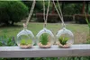 4PCS/set 5inch Glass Globe Terrariums,Hanging Planter Terrarium Kit For Garden Supplies,Housewarming Gift Home Decor,Wedding Candlestick