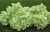 Hortênsias européias de seda 50 cm/19,69 pol. de comprimento Arbusto de hortênsia artificial 7 cabeças de flor por cacho 6 cores para flor de casamento