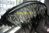 Free Shipping 50 pcs Black Ostrich Feather 16-18INCH (40-45cm) Wedding centerpiece Home Decor party supply decor