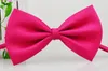 Hot Sales Stilig Tide måste! Barns slips Bowknot Baby Slips Slipsar 100st / Lot