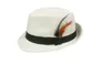 New Summer Trilby Fedora Hats Straw with Feather for Mens Fashion Jazz Panama Beach hat 10pcs/lot