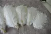 Partihandel 100st White Ostrich Feather Plume For Wedding Centerpiece Bröllop Decor Party Event Decor Supply Peative Decor