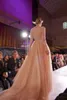 Elie Saab Prom Dresses V Neck Koronki Aplikacje Z Długim Rękawem Suknia Wieczorowa Kaplica Zipper Back Tulle Party Dresses Tani