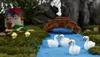 8pcs lot blanc noir fée jardin miniatures cristal décoration animal mousse micro paysage gnome résine artisanat1399576