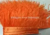 10yard/lots Muticolor Long Ostrich Feather Plumes Fringe trim 8-10cm Feather Boa Stripe for Party Clothing Accessories Craft