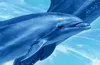 Dolphin crack mundo submarino baldosas tridimensionales suelo 3d para sala de estar y dormitorio