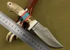 Samlarens utgåva Damaskus stål Straight Kniv Antler Hantera Utomhus Överlevnad Jaktknivknivar med lädermantel