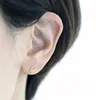 18K Gold Plated Stud earrings for Women Fashion mouse stud earring Environmental protection zinc alloy material