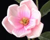 Горячая распродажа дисплей цветок реальный сенсорный мангнолия искусственная магнолия цветок для свадьбы или дома декоративные цветы
