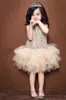 여자 투투 드레스 여자 레이스 공주 드레스 베이비 키즈 옷 꽃 무늬 중공 민소매 드레스 여름 한국 스타일 조끼 Dressy 샴페인