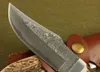 Collection's Edition Damascus Сталь Прямой Нож Ролл Ручка Открытый Выживание Охотничьи Ножки Ножи с Кожаной Около