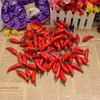 Simulazione artificiale Peperoncino di plastica peperoncino Verdure artificiali Fotografia Puntelli Addobbi natalizi Decorazioni per feste di partito