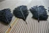 Whole 100pcslot Ostrich Feather Plumes Ostrich Feather Black for Wedding Centerpiece Wedding Decor Coetumes Party2385658