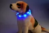 Nyaste Klipp USB Charge Dog Training Collar LED Utomhus Lysande Laddare Pet Dog Collar Light Justerbara 6Colors LED Blinkande hundkrage