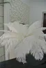 ウェディングセンターピースウェディング装飾パーティーイベントの装飾の装飾の装飾の装飾のための卸売100ピースの白いダチョウの羽のプルーム