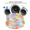 USB Music Control String Light 5M 10M 20M 8 Funktion Remote Sound Activated Lamps For Garland Christmas Holiday Lighting3994563