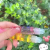 Lip Gloss 6 Colors Roll-on Fruit Oil Moisturizing Random Hydrating Transparent Cosmetics C Long Lasting X4j5