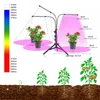 屋内野菜の花苗のためのLED成長5V USB植物ランプのフルスペクトルフィトランプ