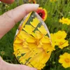 suncatcher de verre bricolage