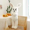 Poupée animal de compagnie mignonne Kawaii pour enfant, lapin de dessin animé 3D, rembourrage en coton, jouets en peluche, marionnettes, ornements, décoration, cadeaux d'anniversaire pour enfants