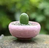 arden Planters Flower Pots Planterss 50Pcs/Lot Microlandschaft Minis Succulent Plants Flowers Vase Flowerpot Terrarium Container Mini Bonsa