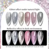 Fles Holo Reflecterende Glitter Kat Magnetische Gel Holrographics Effect Silver Purple Soak Off UV Vernis 6 Kleuren Nagel