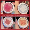 Oogschaduw Aarde Kleur Pearlescent Matte Monochrome Oogschaduw Double Cat Shape High Gloss Beauty Cosmetics