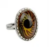 Duży owalny pierścień oczu Zmiana koloru Wykrywanie temperatury Urok Urok Nastrój Pierścionki Band Moda Biżuteria Will I Sandy