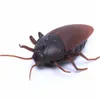 Afstandsbediening Kakkerlakken Simulatiemodel van Educatief Elektronisch Huisdierenspeelgoed