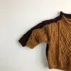 Maglione con cappuccio per bambino Letterario Marrone Collo alto Coreano per bambini lavorato a maglia in tinta unita in cotone lavorato a maglia caldo 210515