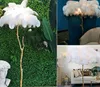 Plumes d'autruche blanches naturelles, pièce maîtresse pour décoration de Table de fête de mariage, nouvel arrivage 2021, gratuite