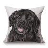 Cuscinetto cuscino cuscino airtedale cover cuscino labrador dog collie cuscino decorazioni beige in lino in poliestere bianco 45x45cm 2740616