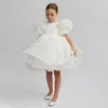 Abiti da ragazza Moda Ragazze Principessa Abito vintage Tulle Bambini Vestido Manicotto a sbuffo Abiti rosa per feste di compleanno per matrimoni