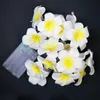 Strings frangipani led string licht bruiloft decoratie bloem fee kamer hanger gordijn batterij festival party muur decor