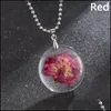 Hängsmycke Halsband Hängsmycken Smycken Naturlig Torkad Blomma För Kvinnor Transparent Resin Real Dry Round Gift Drop Leverans 2021 L8ZE0