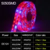 Strisce Foxanon 5M LED Plant Grow Strip Light Auroproof DC 12V Hydstems Growing 60ledSm Spectrum Full Aquarium Greenhouse9382073